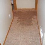 Local Water Damage Restoration